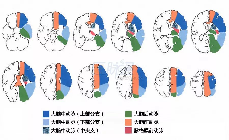 点击查看原图 图片